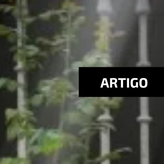 Espiritualidade para tempos hostis, por L<em>eonardo Henrique Agostinho, MSC</em>
