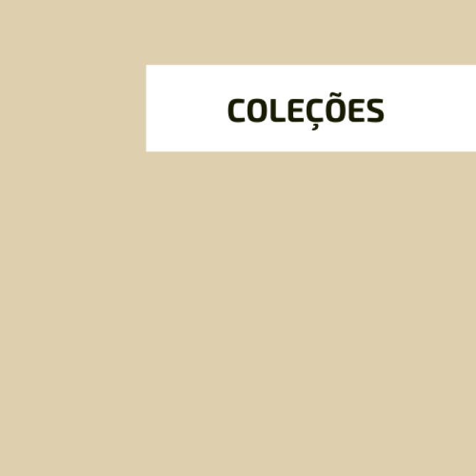 Coleção 10 lições: acessibilidade e didática para apresentar conceitos essenciais